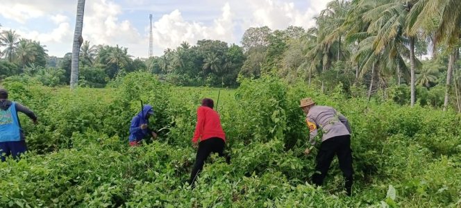 
 Hadir Di Tengah Masyarakat, Bhabinkamtibmas Polsek Mare Lakukan Gotong Royong Bersama Warga