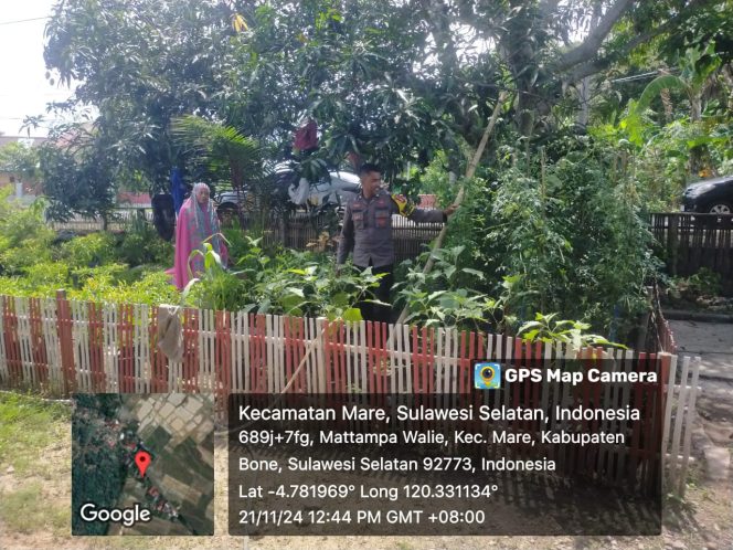 
 Bhabinkamtibmas Polsek Mare Polres Bone, Tinjau Pekarangan Pangan Bergizi