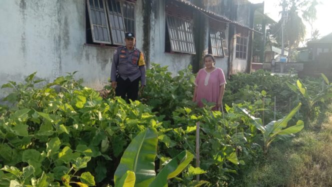 
 Bhabinkamtibmas Polsek Cenrana Ajak Warga Manfaatkan Pekarangan Untuk Ketahanan Pangan