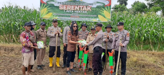 
 Polsek Mare Polres Bone, Melaksanakan Penanaman Jagung Serentak Satu Juta Hektar