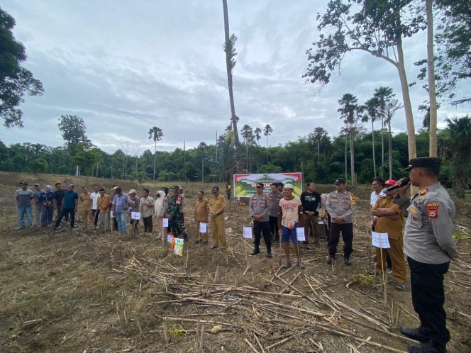 
 Kapolsek Awangpone Gerakkan Penanaman Jagung Serentak di Desa Matuju Dukung Swasembada Pangan Tahun 2025