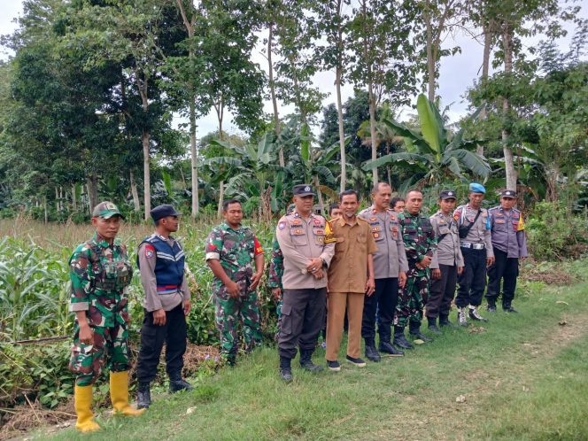 
 Bersama Forkopimca, Kapolsek Cenrana Dukung Program Penanaman Jagung Satu Juta Hektar di Kecamatan Cenrana