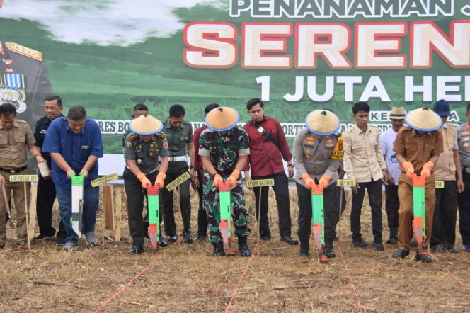 
 Dukung Program Ketahanan Pangan Nasional, Kapolres Bone bersama Forkopimda Tanam Jagung 1 Juta Hektar 