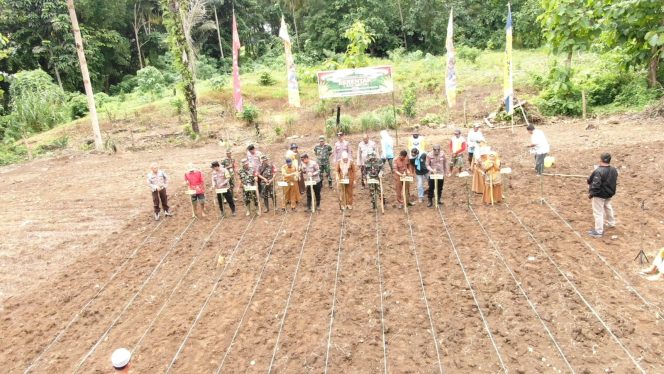 
 Forkopimcam Barebbo dan Masyarakat Laksanakan Kegiatan Penanaman Jagung Serentak