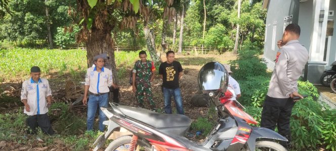 
 Kapolsek Awangpone Tinjau Lokasi Penanaman Jagung di Desa Unra untuk Dukung Ketahanan Pangan