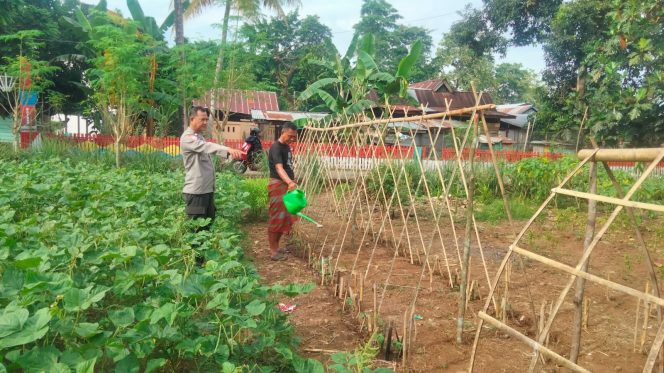 
 Sukseskan Program presiden Asta Cita ,Polsek Barebbo Polres Bone Libatkan Polisi Penggerak Wujudkan Pekarangan Bergizi