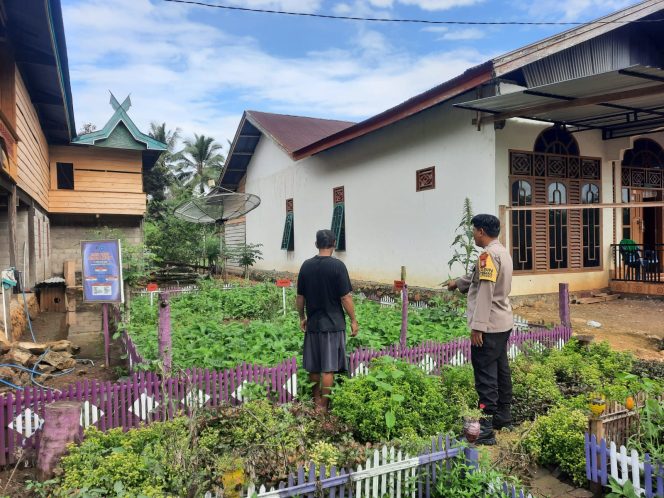 
 Ayo Dukung Ketahanan Pangan, Bhabinkamtibmas Polsek Barebbo Lakukan Pendampingan Petani Sayuran