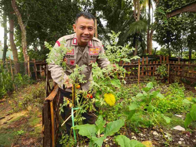 
 Langkah positif Kapolsek lamuru memanfaatkan pekarangan Mapolsek.