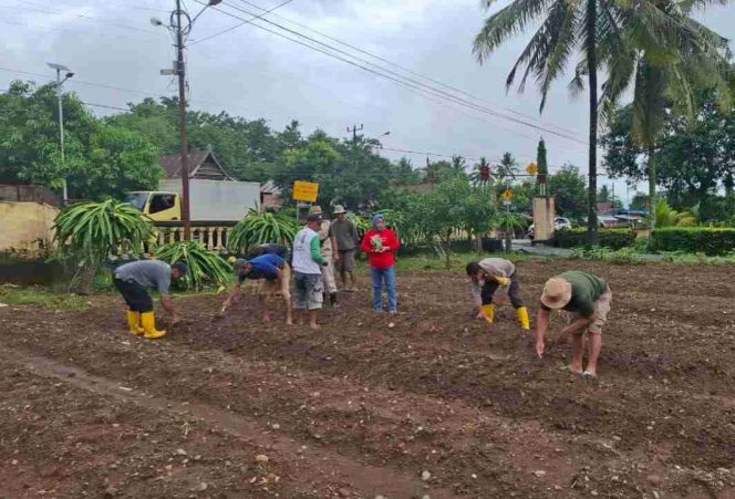 
 Polsek Libureng manfaatkan halaman Mako Dukung Ketahanan Pangan nasional