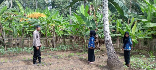 
 Dukung Ketahanan Pangan, Bhabinkamtibmas Kunjungi Lahan Pekarangan Bergizi