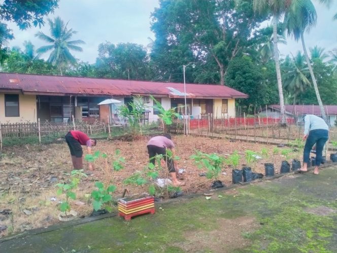 
 Dukung ketahanan pangan Polsek Lamuru manfaatkan lahan disekitar Mapolsek