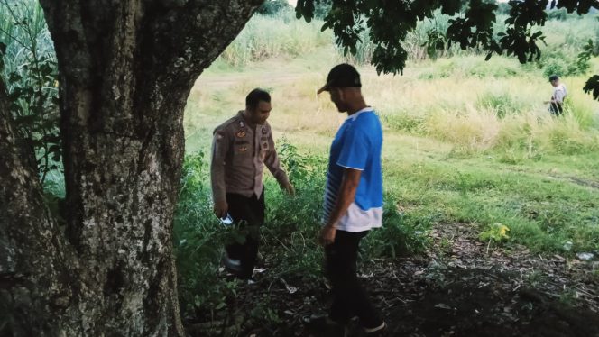 
 Sapi Raib Di Desa Mario ,Polsek Mare Gerak Cepat Datangi Lokasi Kejadian