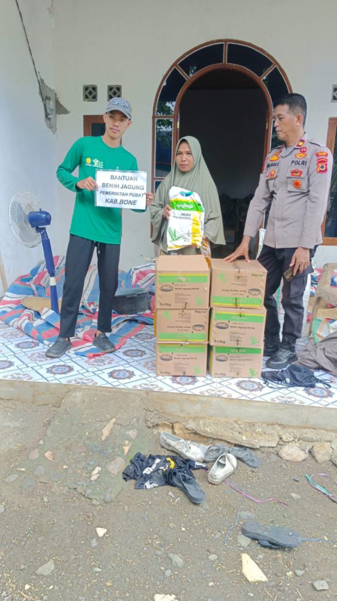 
 Kegiatan Pendampingan Penyaluran Bantuan Benih Jagung Hibrida oleh Wakapolsek Lamuru