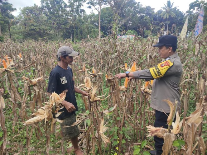 
 Bhabinkamtibmas Polsek Barebbo Berikan Motivasi kepada Petani saat Sambang