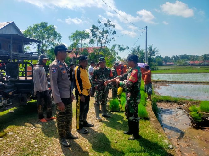 
 Bhabinkamtibmas Hadiri Uji Coba Penanaman Padi Menggunakan Mesin Tanam di Desa Kadai