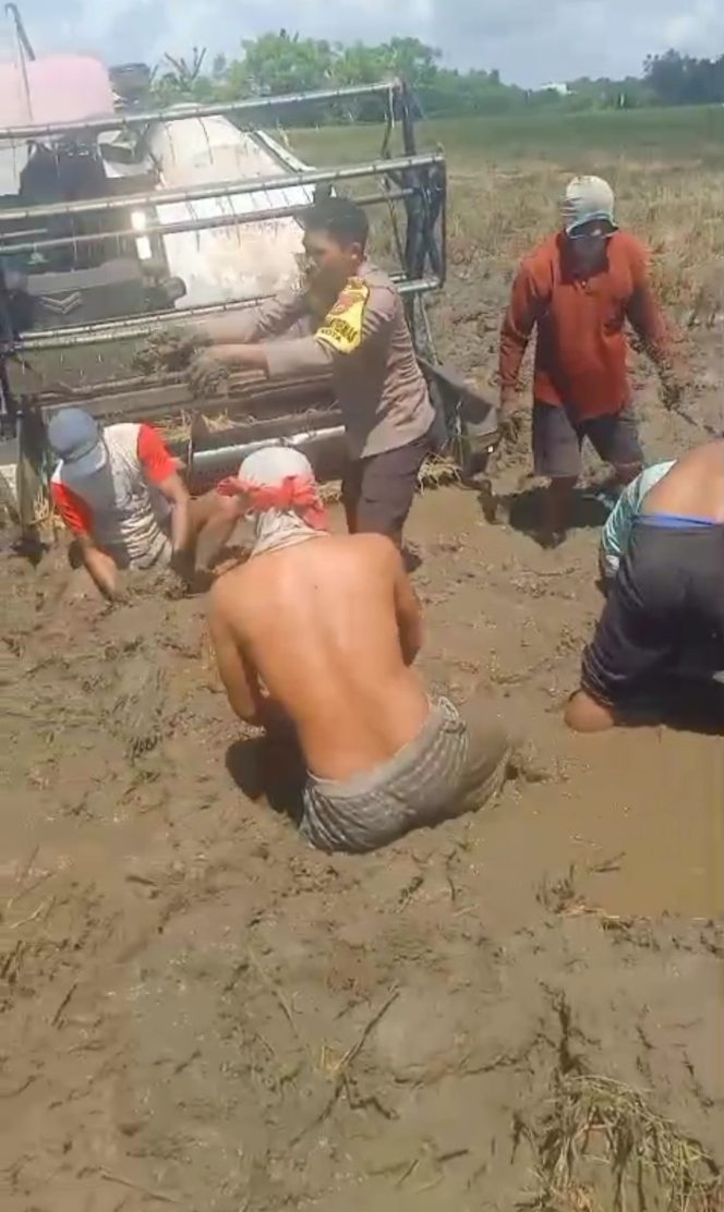 
 Bukan Hanya Polisi, Bripka Andi Rusman Juga Pahlawan Petani
