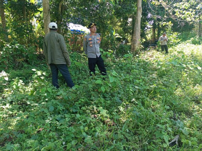 
 Bhabinkamtibmas Dampingi Kabag SDM Polres Bone Tinjau Lokasi Ketahanan Pangan di Sibulue