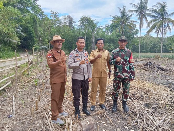 
 Bhabinkamtibmas Polsek Awangpone Polres Bone Tinjau Lokasi Penanaman Jagung Serentak Di Dusun Bontomaero