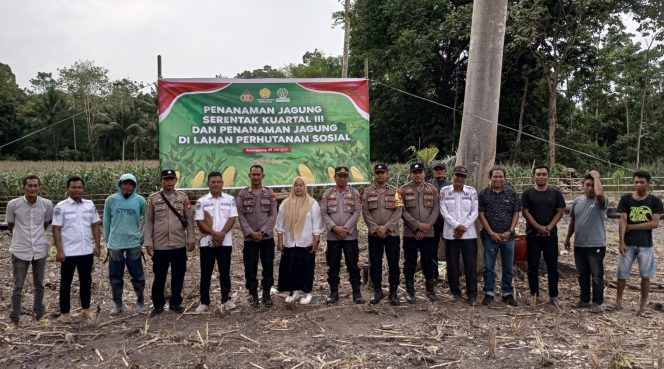 
 Kapolsek Awangpone Memimpin Pelaksanakan Penanaman Jagung Serentak Kuartal III di Desa Matuju