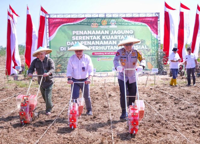 
 Kapolda Jabar Tanam Jagung Serentak di Sumedang, Dukung Kemandirian Pangan dan Kesejahteraan Petani