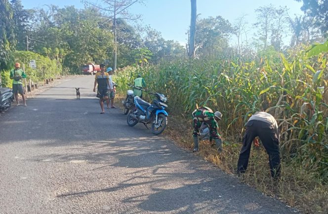 
 Bhabinlamtibmas Polsek Ponre berkolaborasi dengan Babinsa membantu masyarakat dalam kerja bakti didesa Binaannya