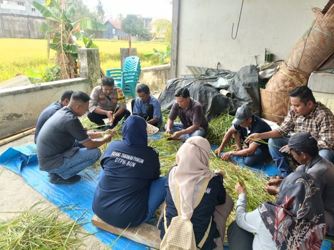 
 Bripka Hamdan Tunjukkan Sinergitas Polri dan Petani di Kegiatan Ubinan BPS