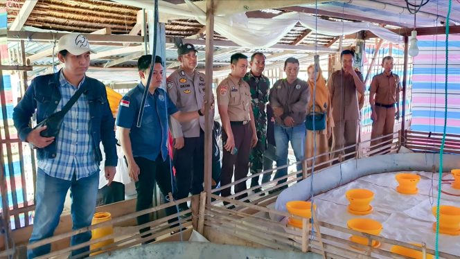 
 ‎Dukung Ketahanan Pangan, Desa Maduri Jadi Percontohan Kelayakan Kandang Ayam Pedaging
