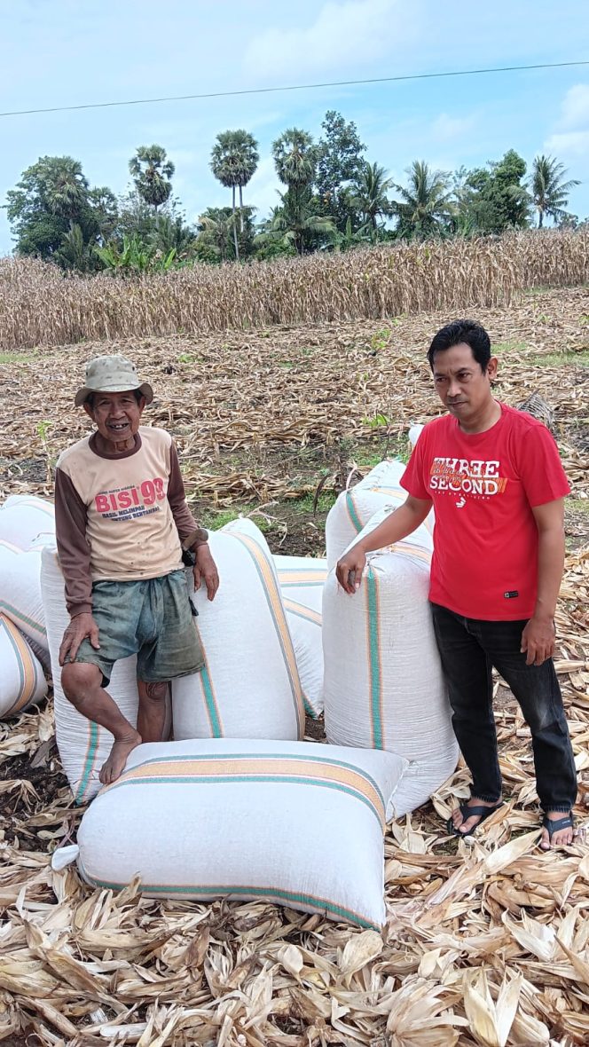 
 ‎Dukung Ketahanan Pangan Nasional, Polisi Penggerak Polsek Cenrana Hadiri Panen Jagung Warga.
