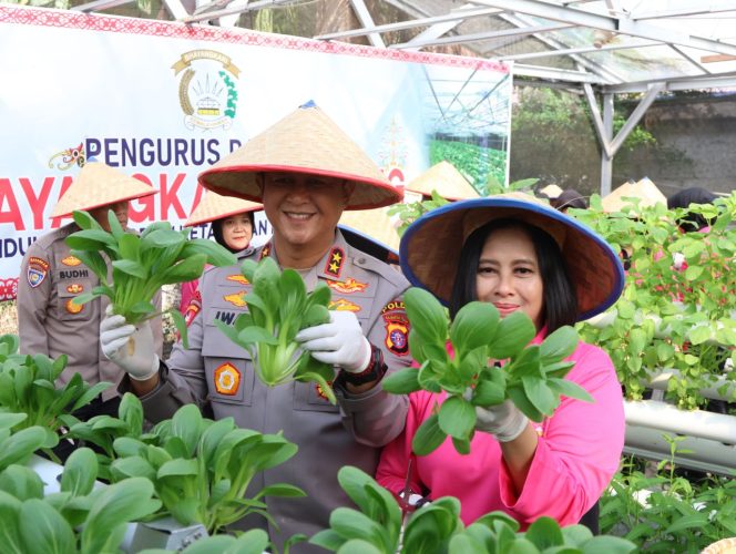 
 Dukung Ketahanan Pangan, Kapolda Kalteng Bersama Bhayangkari Panen Sayur di Lahan Pekarangan Pangan Lestari