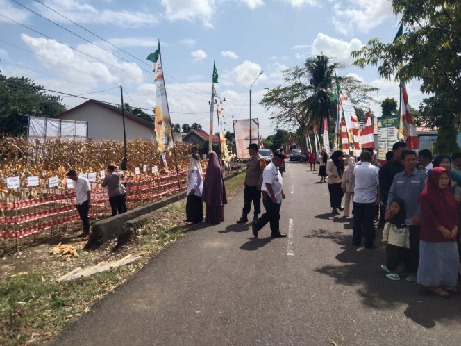 
 Personil Polsek Tellu Siattinge Lakukan Pengamanan Panen Jagung, Wujud Dukungan Polri dalam Program Ketahanan Pangan