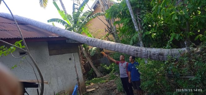 
 Bhabinkamtibmas Polsek Awangpone Bersama Pemerintah Desa dan Warga Menyingkirkan Pohon Tumbang di Desa Lappoase