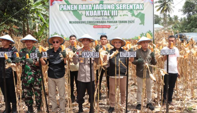 
 Panen Raya Jagung Serentak Kuartal III di Bone, Wujud Dukungan Polres Bone terhadap Swasembada Pangan