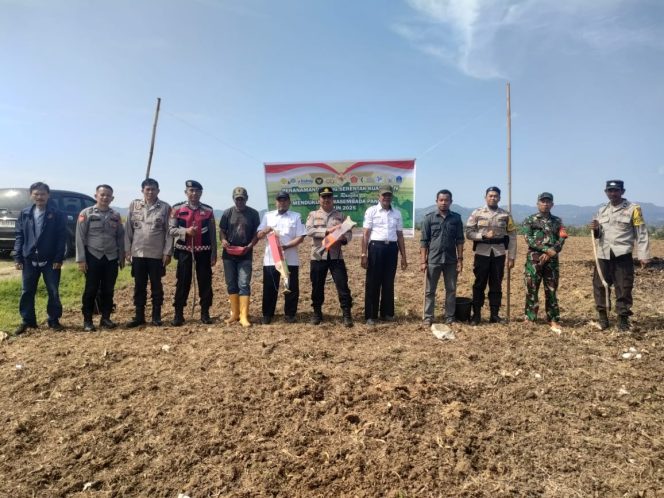 
 Tanam jagung serentak kwartal IV yang dilaksanakan didesa bolli kecamatan Ponre, dihadiri oleh Kapolsek Ponre