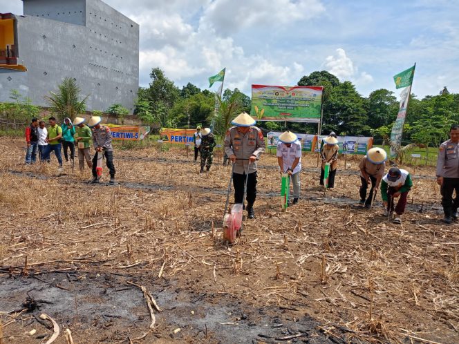
 Kapolsek Awangpone Mendampingi ‎Wakapolres Bone Penanaman Jagung Serentak Kuartal IV Mendukung Swasembada Pangan