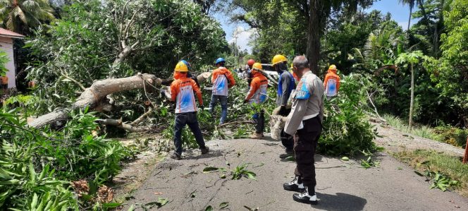 
 Polsek Sibulue Dampingi Petugas PLN Tebang Pohon di Sepanjang Jalan Poros Kecamatan