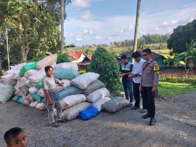 
 Pastikan Kualitas Panen Jagung, Bhabinkamtibmas Bripka Wahyudi Dampingi Bulog Di Lapangan