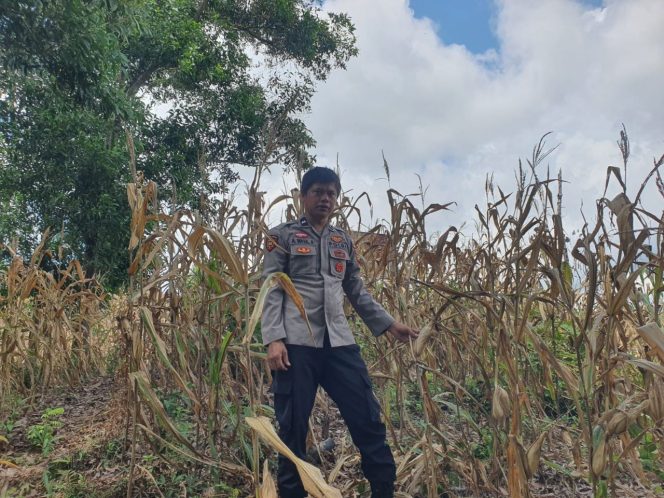 
 Bripka A.Wasil,Lakukan Kunjugan Pada Warga  , Guna Cegah Kriminalitas Polres Bone