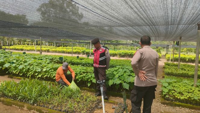 
 Aiptu Ilhamsah Kanit Sabhara Polsek Tonra ,  Berikan Pesan Kamtibmas Pada Saat Kunjugan ,Polsek Tonra Polres Bone
