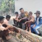 sambang