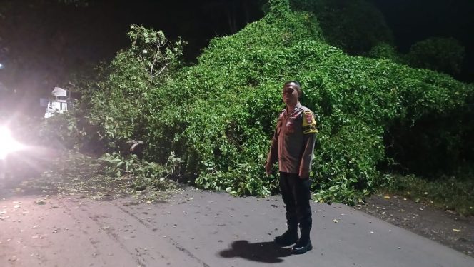 
 Gerak Cepat, Bhabinkamtibmas Polsek Tanete Riattang Aiptu Arwin Tanggapi Pohon Tumbang di Jalan