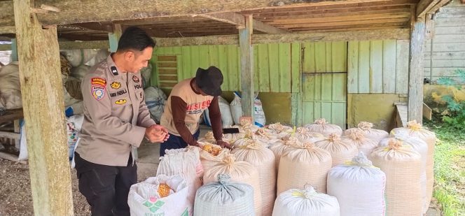 
 Bhabinkamtibmas Aipda Andi Faesal Amir Sambangi Petani Jagung, Imbau Jual Hasil Panen di Bulog Karena Harga Lebih Tinggi