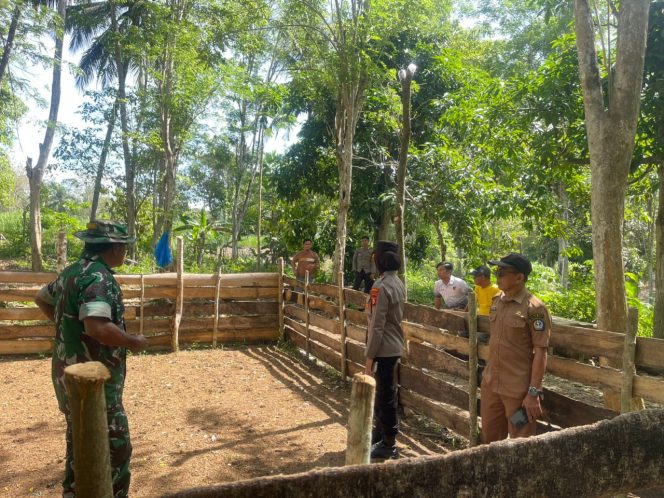 
 Arena Sabung Ayam di Bengo Dimusnahkan, Polres Bone Tegaskan Komitmen Berantas Perjudian
