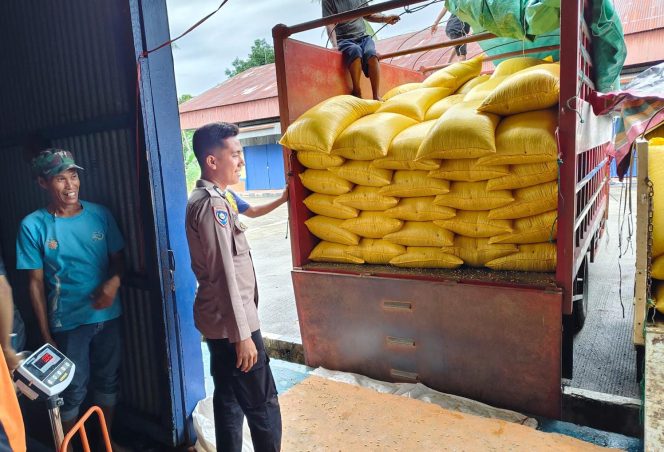 
 Polisi Penggerak Polsek Awangpone Pengawalan Penyerapan Jagung Pipil ke Gudang Bulog Pasippo