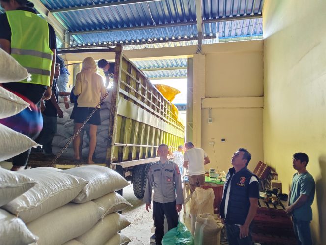 
 Droping Jagung Pakan Ternak Pipil Kering Oleh Personil Polsek Ajangale Ke Gudang BGR Citra Passippo