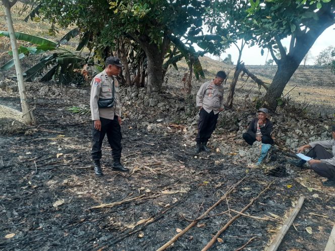 
 Kapolsek Ulaweng Bersama Anggota Jaga Turun ke TKP Kebakaran Lahan Jagung Kuning