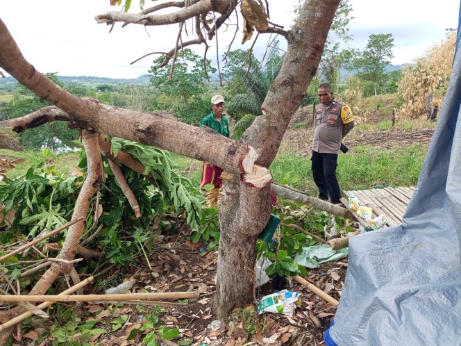 
 Terima laporan warga, Anggota Polsek Ponre cek TKP pengrusakan