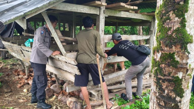 
 ‎Lakukan Pendampingan Vaksinasi Ternak dari Dinas Peternakan, Ini yang Dilakukan Bhabinkamtibmas Aipda Junaid