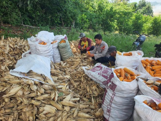 
 Bripka A.Wasil,Lakukan Kunjugan Pada Warga  , Guna Cegah Kriminalitas Polres Bone