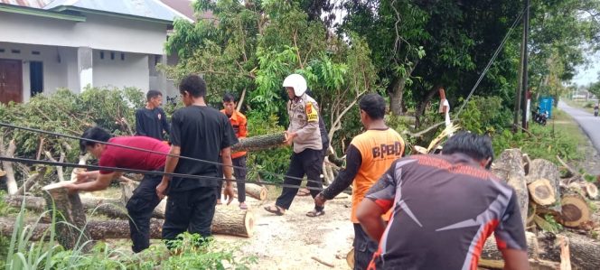 
 Pohon Tumbang Tutup Akses Jalan, Bhabinkamtibmas dan BPBD Sigap Lakukan Evakuasi