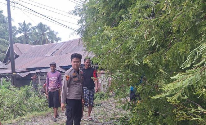 
 Kompak Bersama Warga, Personil Polsek Tellu Siattinge Bantu Evakuasi Pohon Tumbang